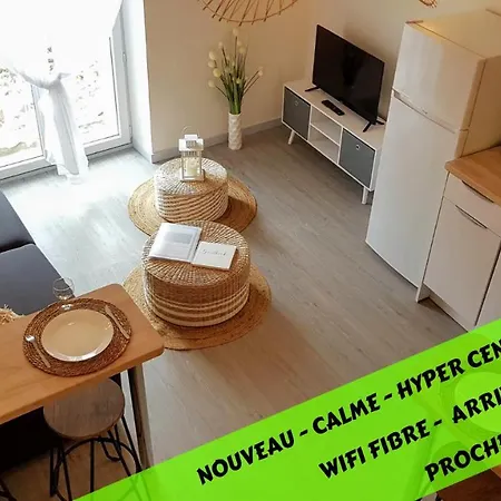 Les Nuits D'Anis - Appartements Hypercentre Le Puy-en-Velay Exterior photo