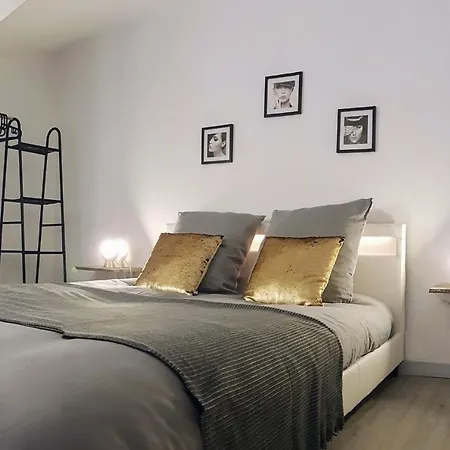 Les Nuits D'Anis - Appartements Hypercentre Le Puy-en-Velay Exterior photo